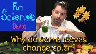 Why Leaves Change Color