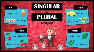 Plural Nouns Drop Y Add IES