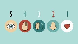 Mindfulness for Focus