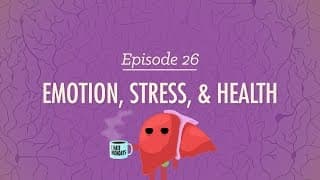 Signs of Mental Well-being