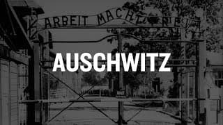 Auschwitz and the Holocaust