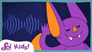 How Ears Hear Sounds