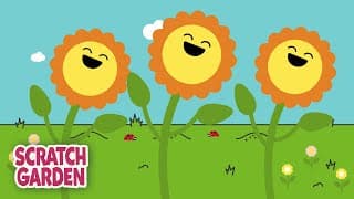 Plant Life Cycle
