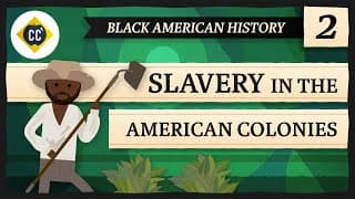 The Transatlantic Slave Trade