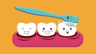 Brushing and Flossing Basics