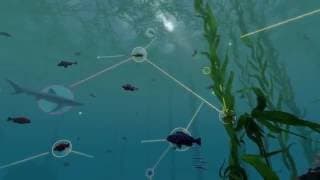Energy in Coastal Food Webs
