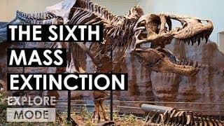 Causes and Consequences of Extinction
