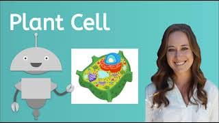 Parts of a Plant Cell