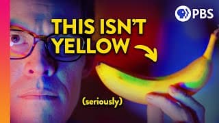 Seeing Color with Light Wavelengths