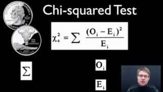 Using Chi-Square Tests