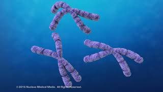 Cell Growth and Reproduction Needs