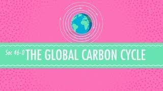 Carbon Dioxide in the Carbon Cycle