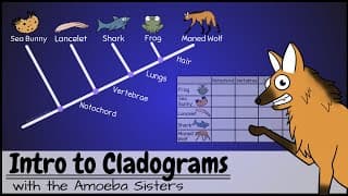 Reading Phylogenetic Trees