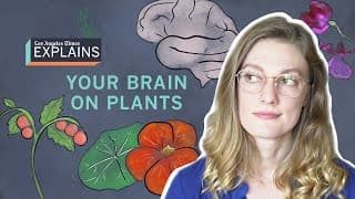 Gardens and Your Brain