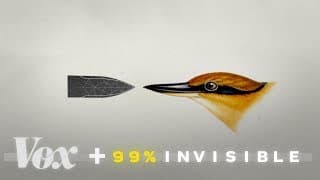 Nature Inspires Design