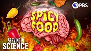 The Body's Reaction to Spicy Foods