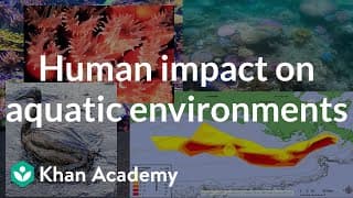Human Impact on Oceans