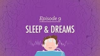 Exploring Consciousness, Sleep, and Dreams