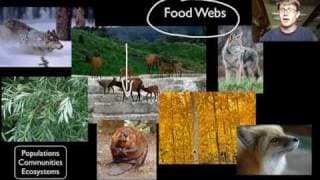 Biotic and Abiotic Interactions