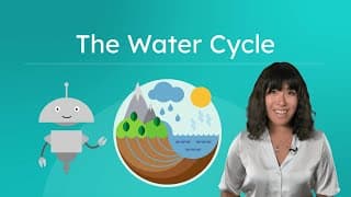 Exploring the Water Cycle