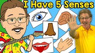 Exploring Our Five Senses