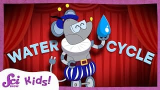 Exploring the Water Cycle