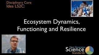 Ecosystem Stability and Biodiversity