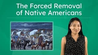 The Trail of Tears Causes and Effects