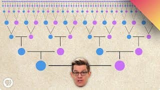 What Shapes Family Identity?