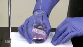 Performing a Titration